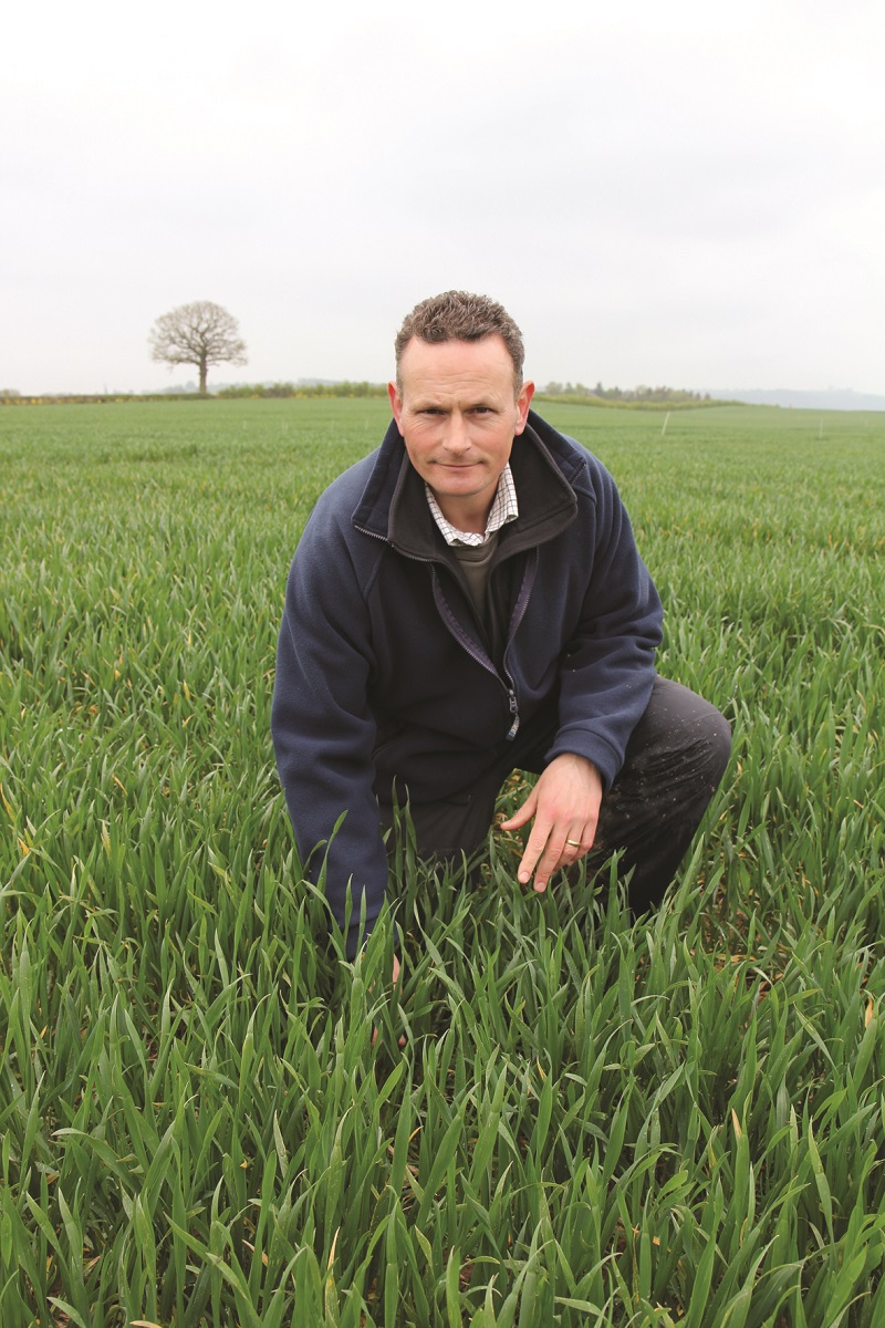 Grassweeds can be an issue with oats, advises Antony Wade.