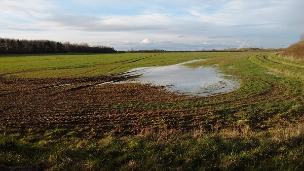 If there’s water sitting on the field this could be down to poor land drainage