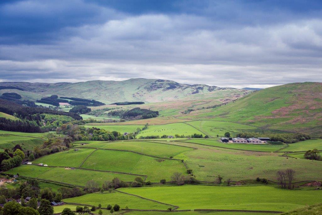 Countryside Stewardship Scheme Opens For 2023 Agreements - Crop 