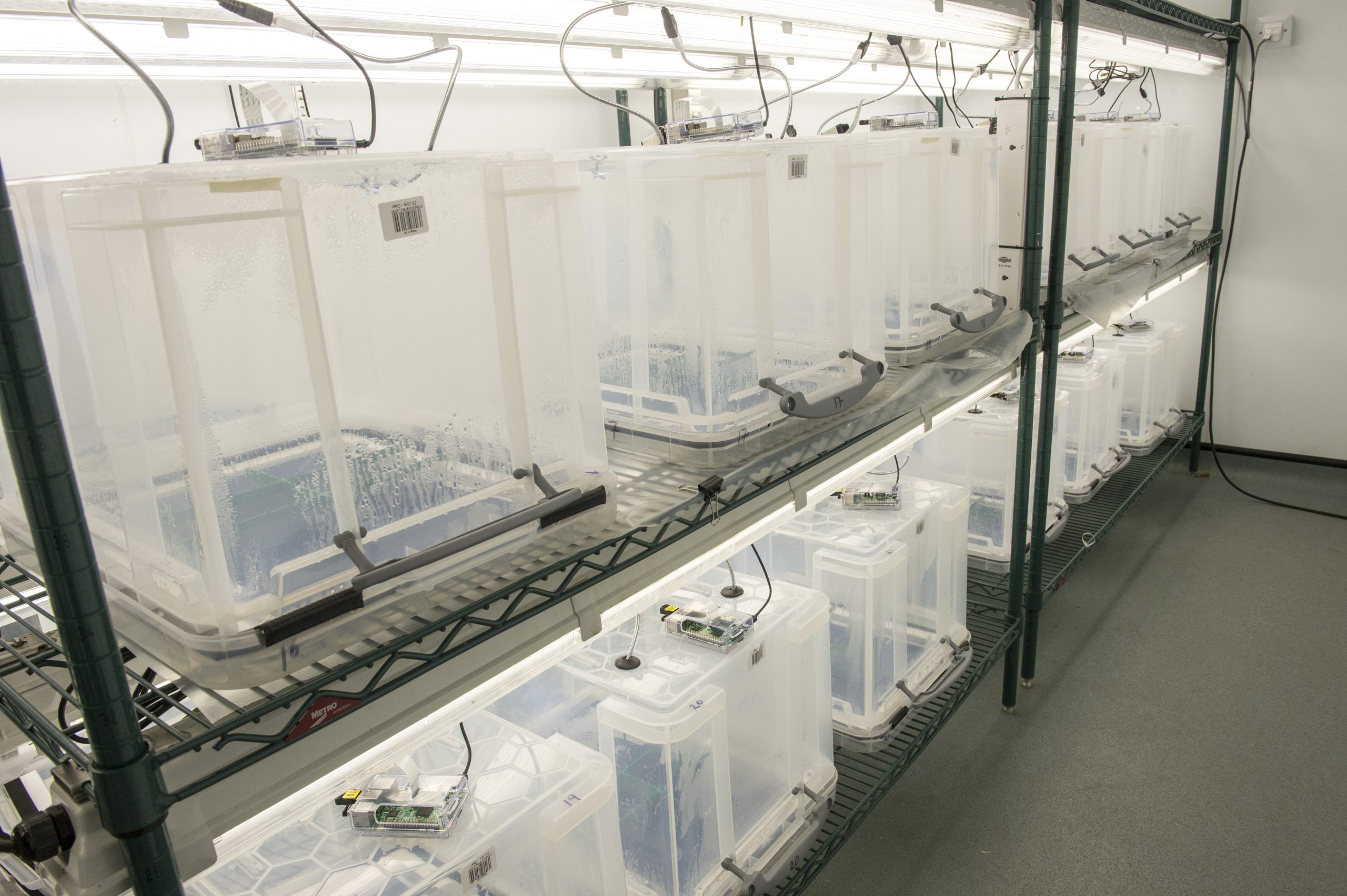 AI solution solves the problem of seed germination tests - Crop ...