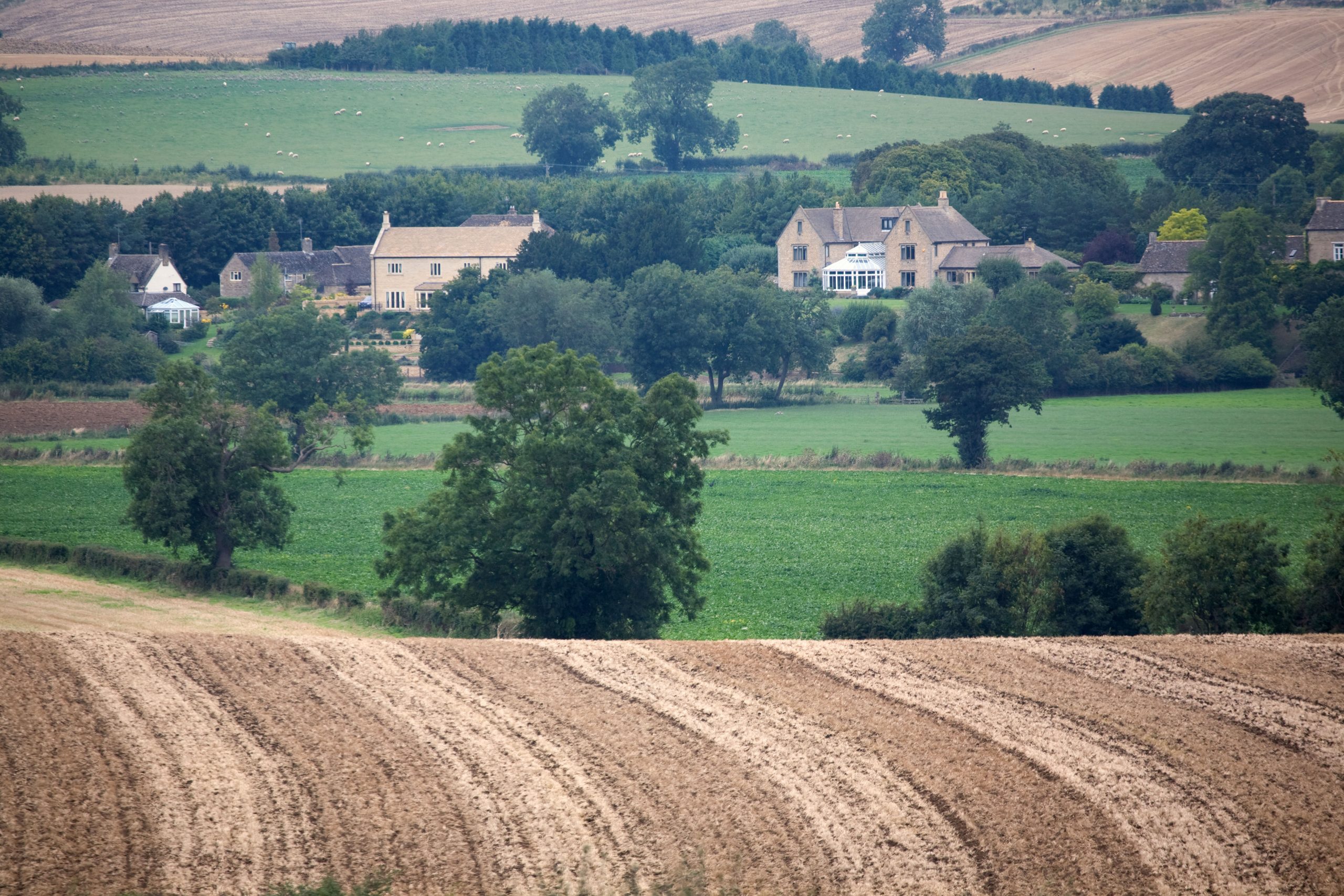 defra-publishes-rock-review-recommendations-for-tenant-farmers-crop