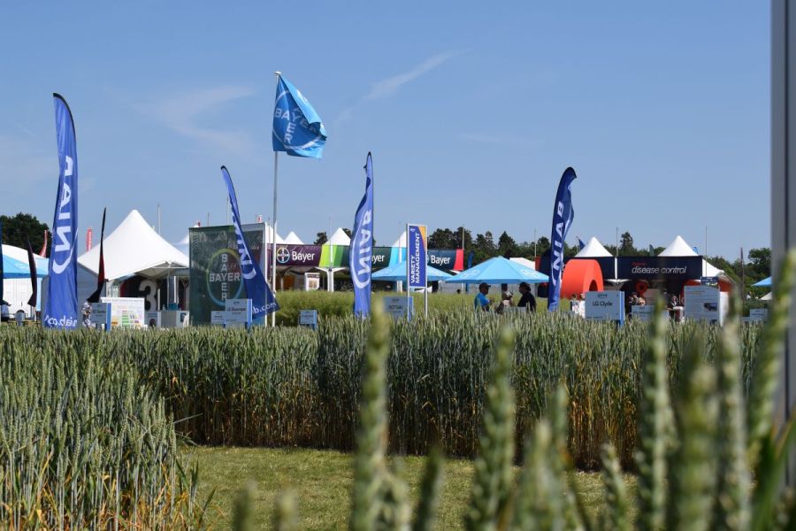 Cereals Event preview: Addressing the future