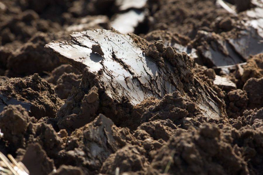 Pushing Performance: Saving soils this autumn