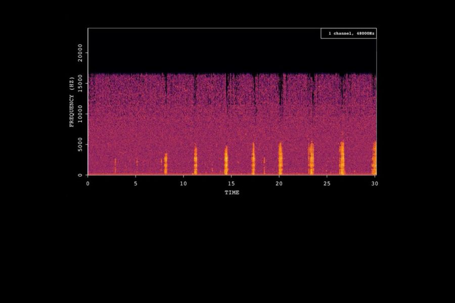 Soil ecoacoustics: Sound of the underground