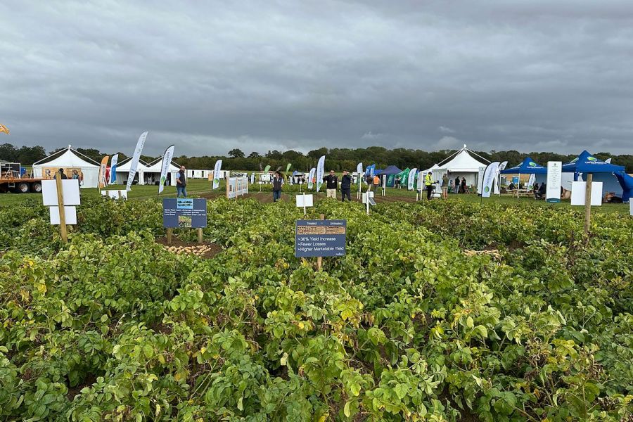 Potato Days event: Net zero potatoes