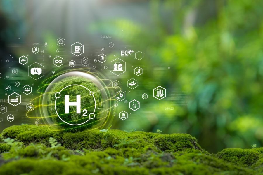 Hydrogen fuels: Seeing green – the future of hydrogen