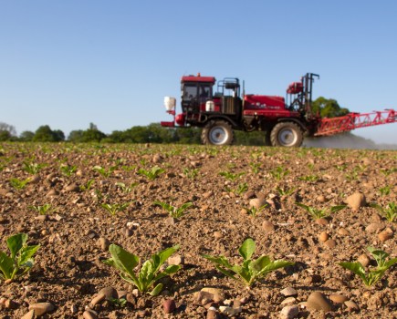 An image of a crop sprayer applying herbicide to sugar beet.