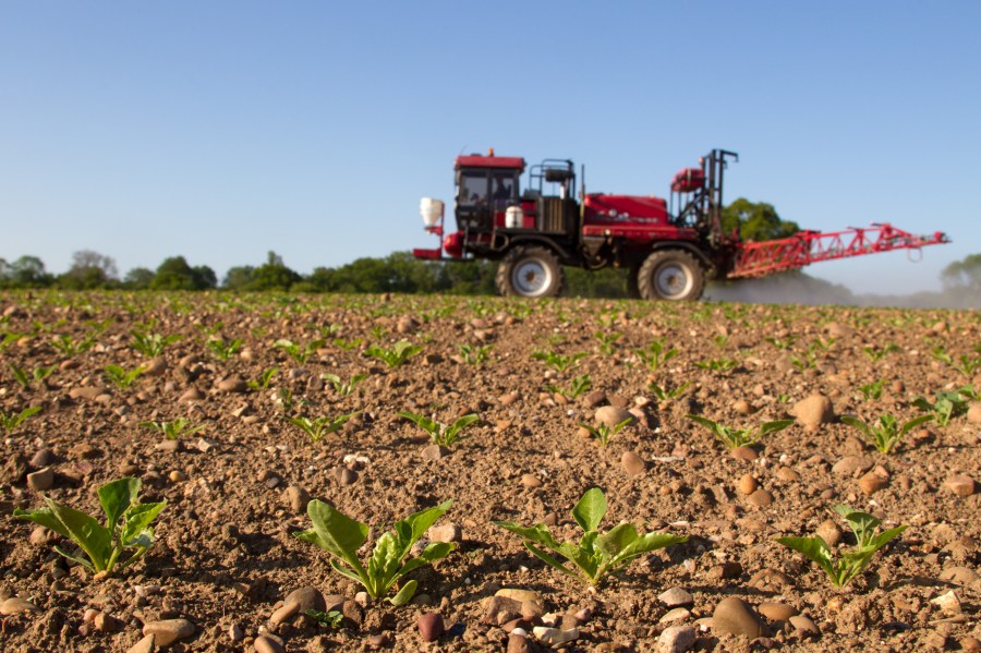 An image of a crop sprayer applying herbicide to sugar beet.